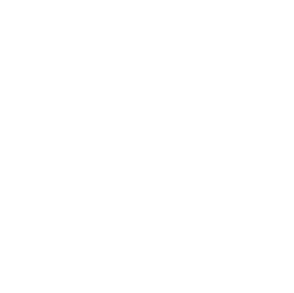 Brand Icon